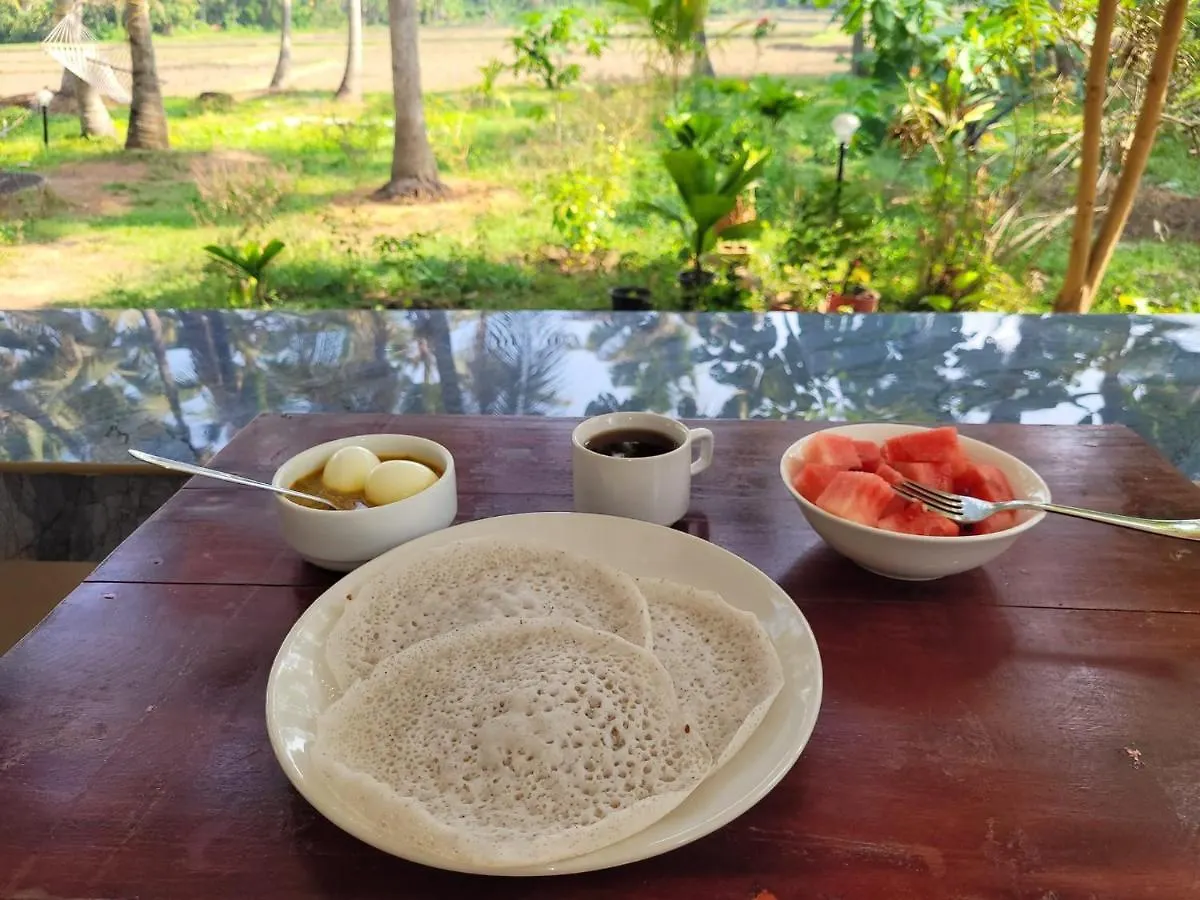 Paddy Farm House Hotel Varkala